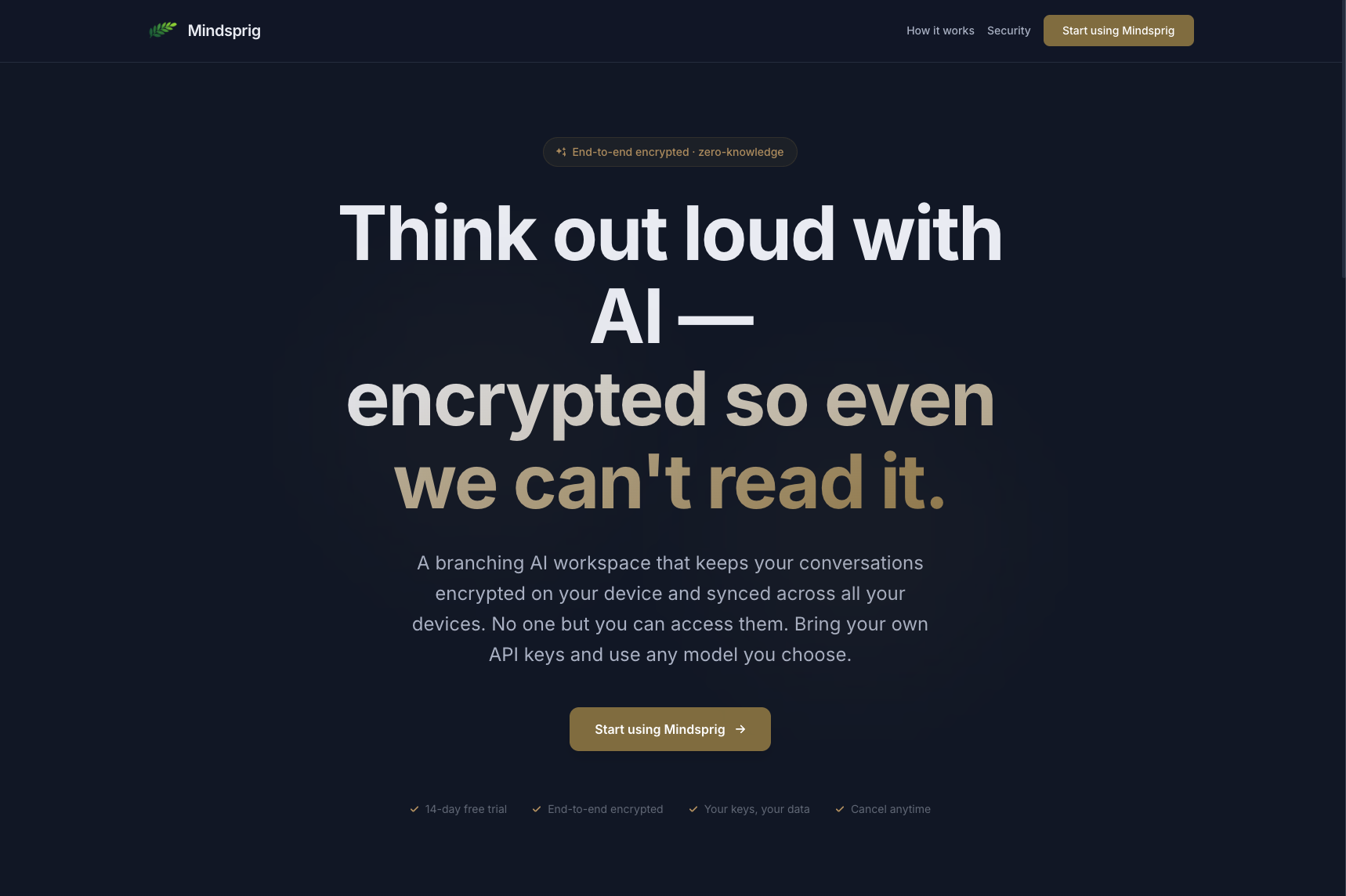 Mindsprig landing page